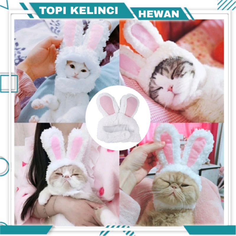 Topi Bando Telinga Kelinci untuk Kucing Anjing Cat Dog Costum Bando Rabbit