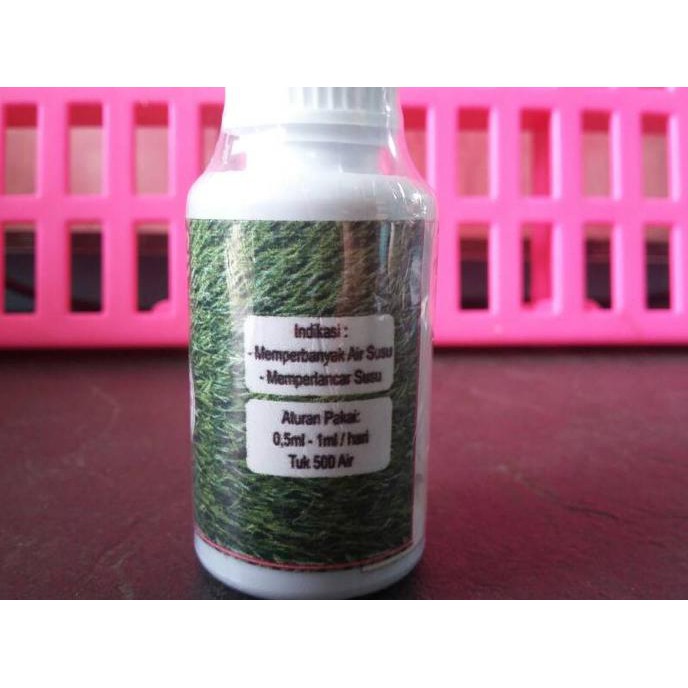 

Jam Soe (Suplemen penambah air susu kelinci) murah