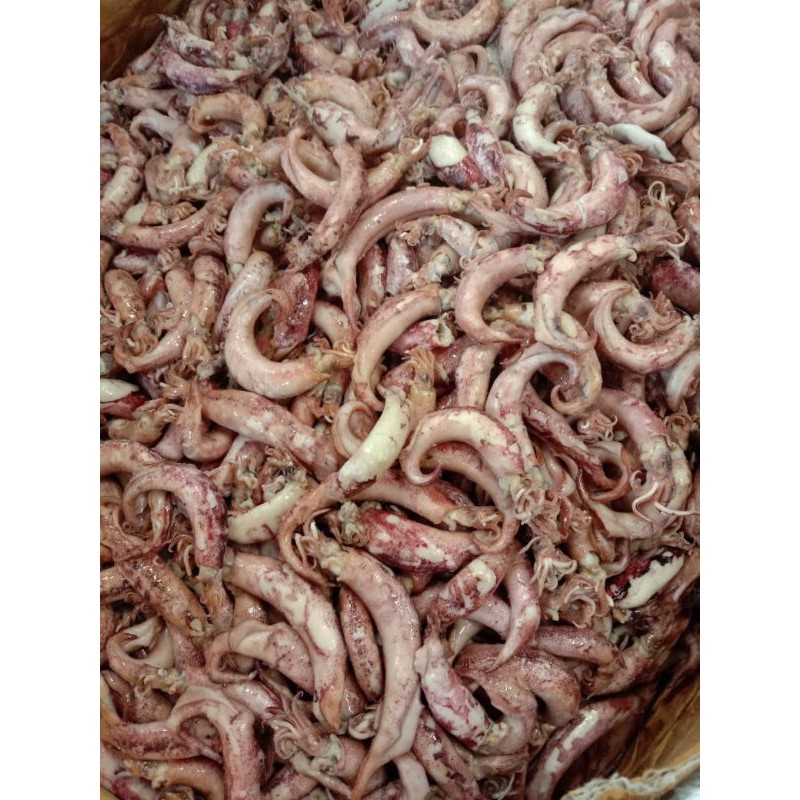 

Cumi Jarum Super 500gr