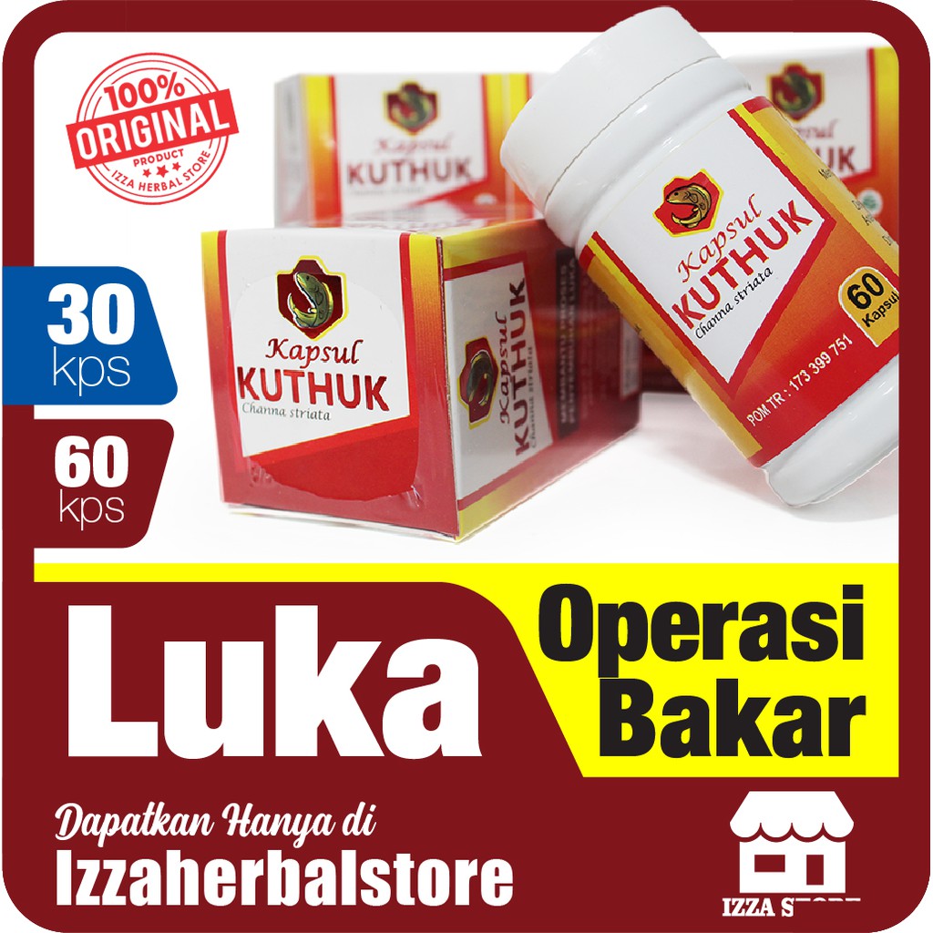 KAPSUL KUTHUK 30 DAN 60 KAPSUL Kapsul Kutuk Asli Ampuh Menyembuhkan Luka Operasi Luka Bakar ORI