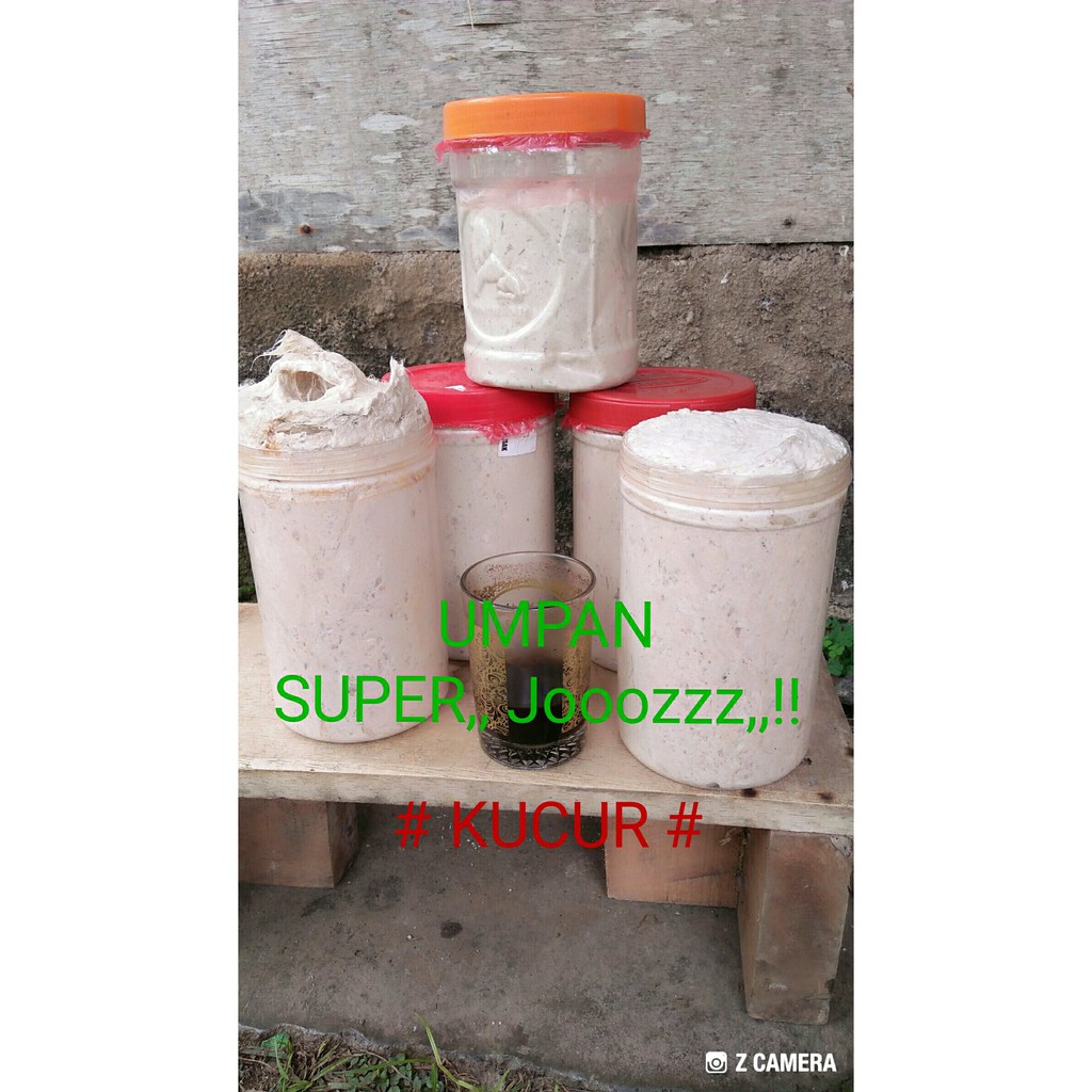 umpan mancing kucur super spesial khusus ikan baung Limited