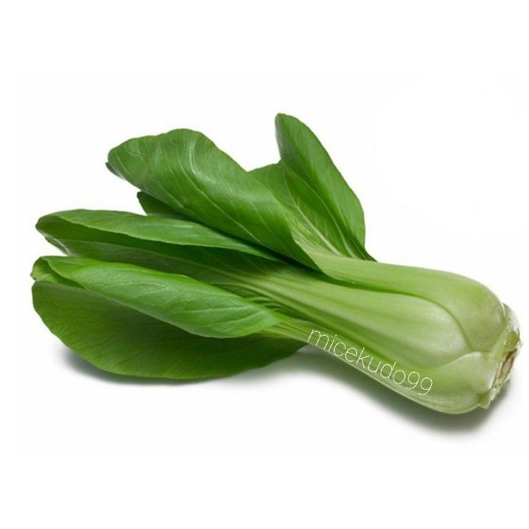 

FRESH MUSTARD GREENS 500 GRAM / BOK CHOY POK CHOY PAK POK CHAY BOK CAY SAWI SENDOK