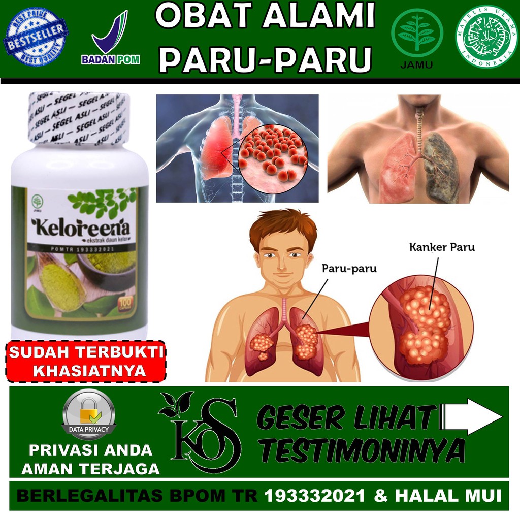 Obat Paru-Paru Alami Obat Flek Paru TB Paru Obat Paru-Paru Basah Obat Radang Paru-Paru Obat Pneumoni
