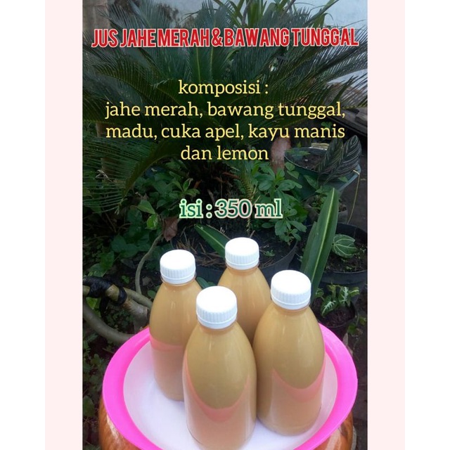 

jus jahe merah dan bawang tunggal ( lanang)