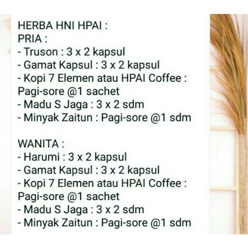 PAKET PROGRAM HAMIL HNi