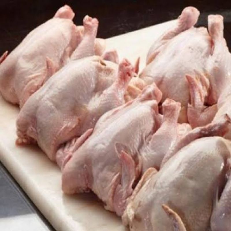 

Daging Ayam Broiler Utuh