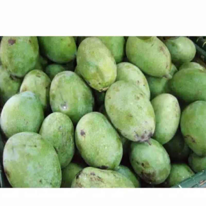 

Mangga Manalagi segar/Mangga Madu 1kg