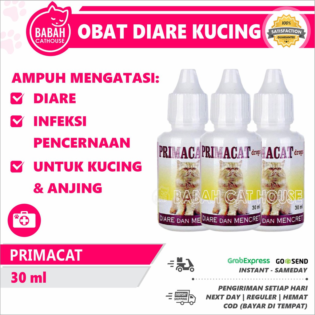 OBAT DIARE PRIMACAT Kucing Anjing Anak Kitten Dewasa Sakit Mencret Infeksi Pencernaan Berak Pup Ence