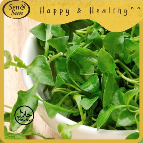 

Sen&Sun Selada Air Conventional 250 gr