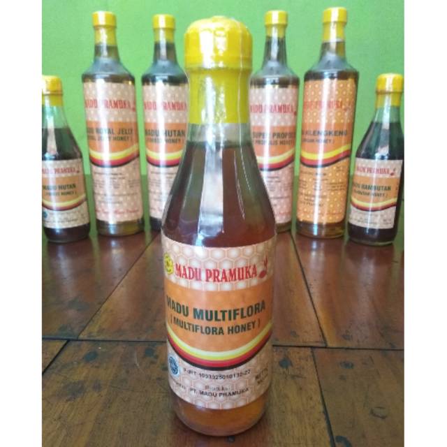 

Harga Reseller Murah Madu Pramuka Multiflora 350ml