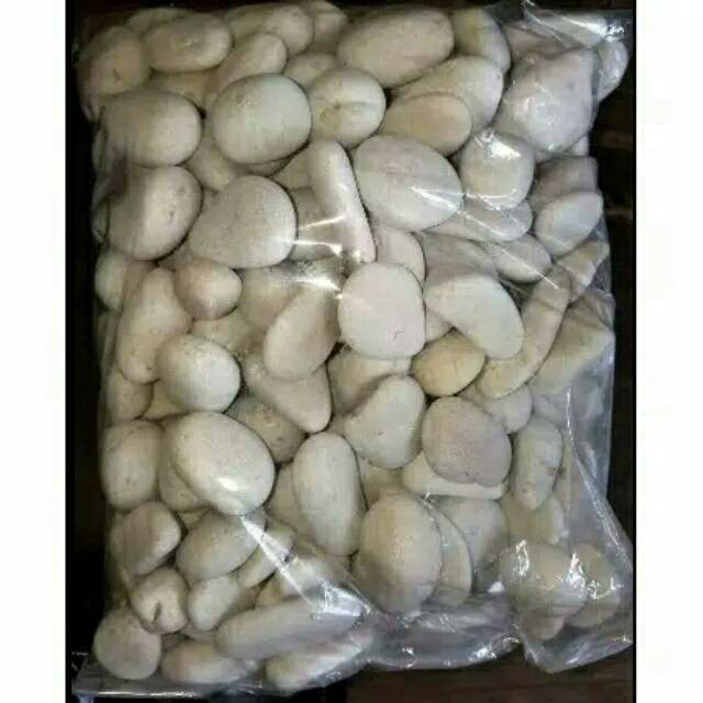 Jual Batu koral putih ukuran 1kg untuk hiasan pot dan aquarium