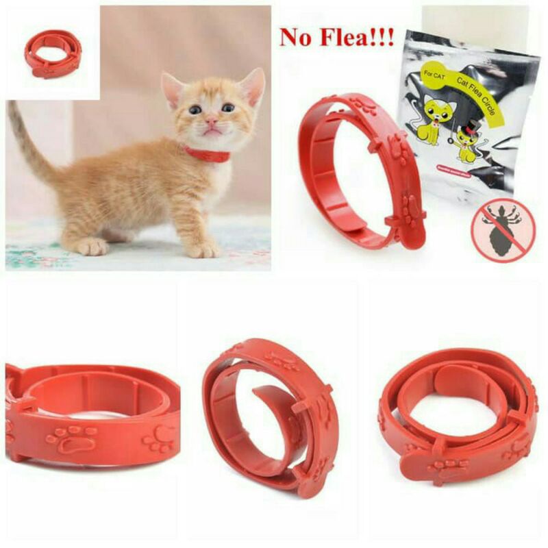 ~ PROMO ~ Kalung Anti Kutu Kucing Anjing Musang Otter Monyet Kelinci