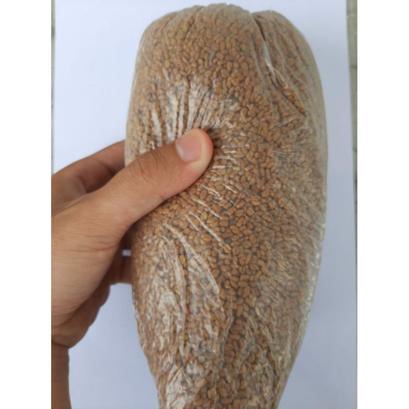 

biji klabet/kelabat 500 gram