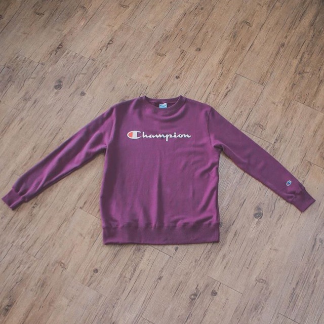 champion crewneck big logo