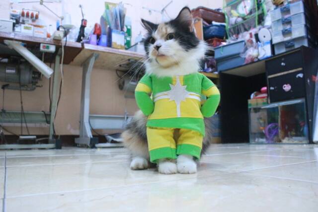 Kostum kapten marvel another untuk kucing dan anjing / baju kucing murah size S M L XL