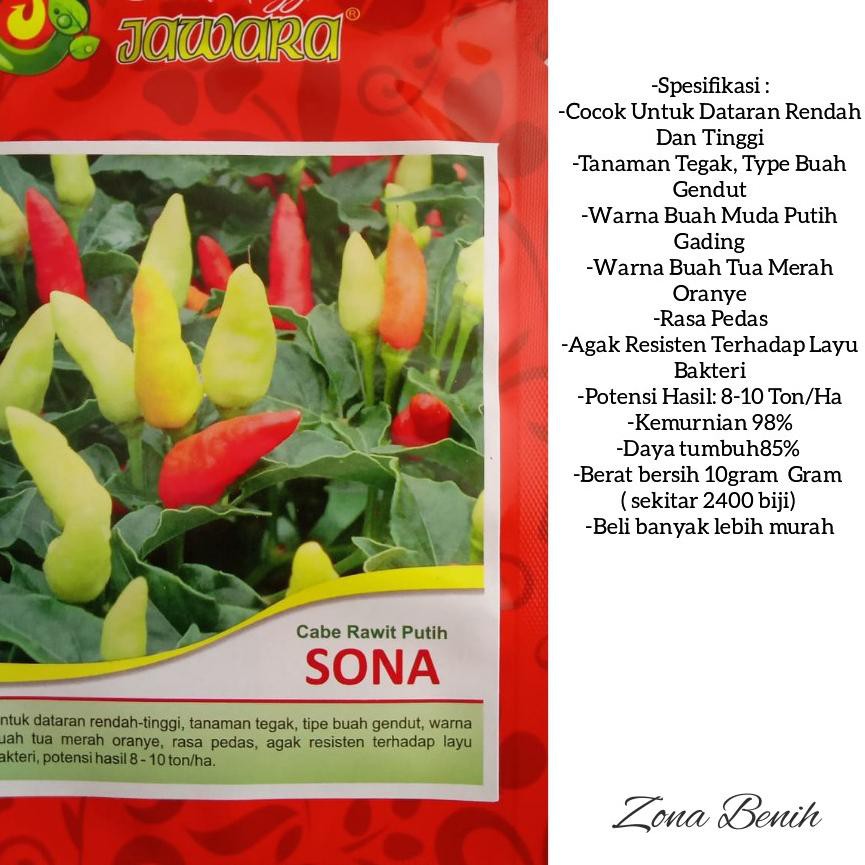 Terbaru Benih Bibit Cabe Rawit Unggul Sona Isi 10gr Benih Cabai Rawit Putih Shopee Indonesia