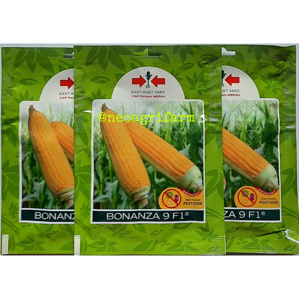 Benih Jagung Manis BONANZA 9 F1 Cap Panah Merah