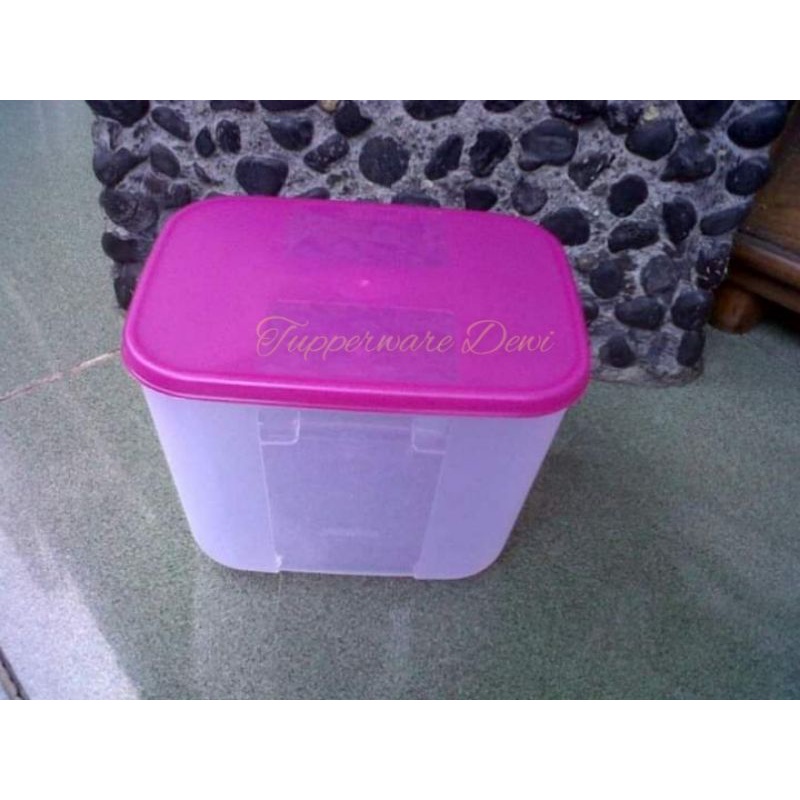 Freezermate Medium Tupperware 1L