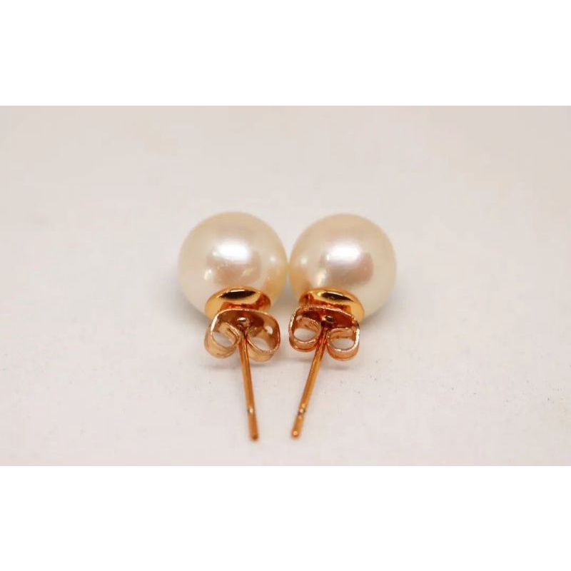 GIWANG MUTIARA LAUT WHITE ASLI GRADE A LENGKAP SERTIFIKAT