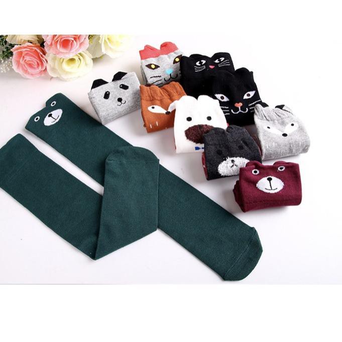 ptr02 babyfit kaos kaki panjang school sock HANAYA long ptr02 babyfit kaos kaki panjang school sock HANAYA long