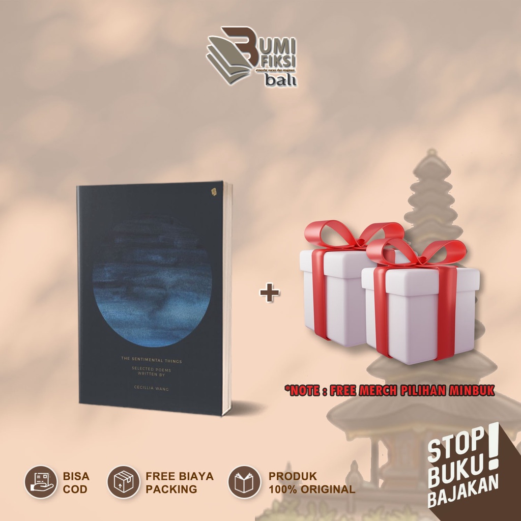 THE SENTIMENTAL THINGS