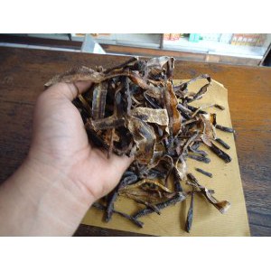 CACING KERING ASLI obat tipes - demam - radang usus manjur