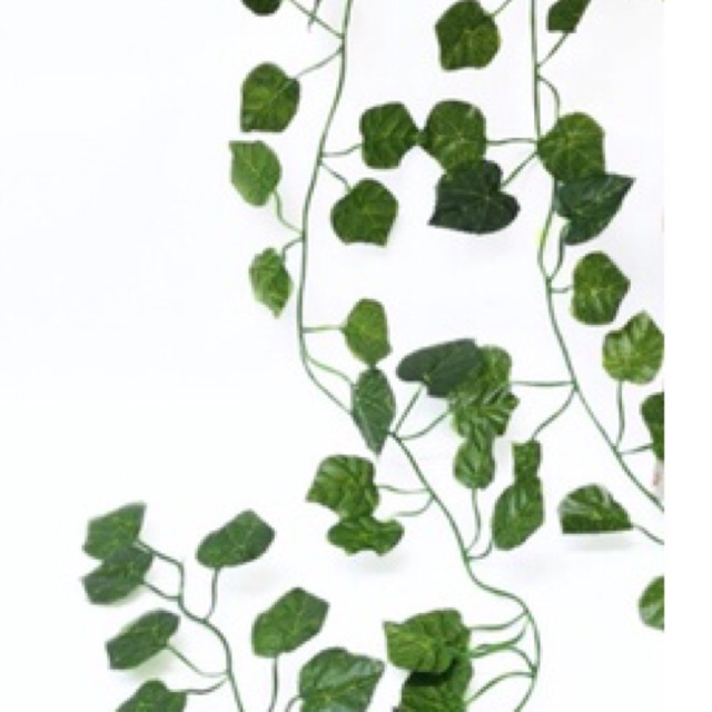 PROPERTI FOTO BUNGA DAUN RAMBAT TANAMAN RAMBAT TANAMAN HIAS PROPERTI FOTO DEKORASI DAUN PALSU DAUN R