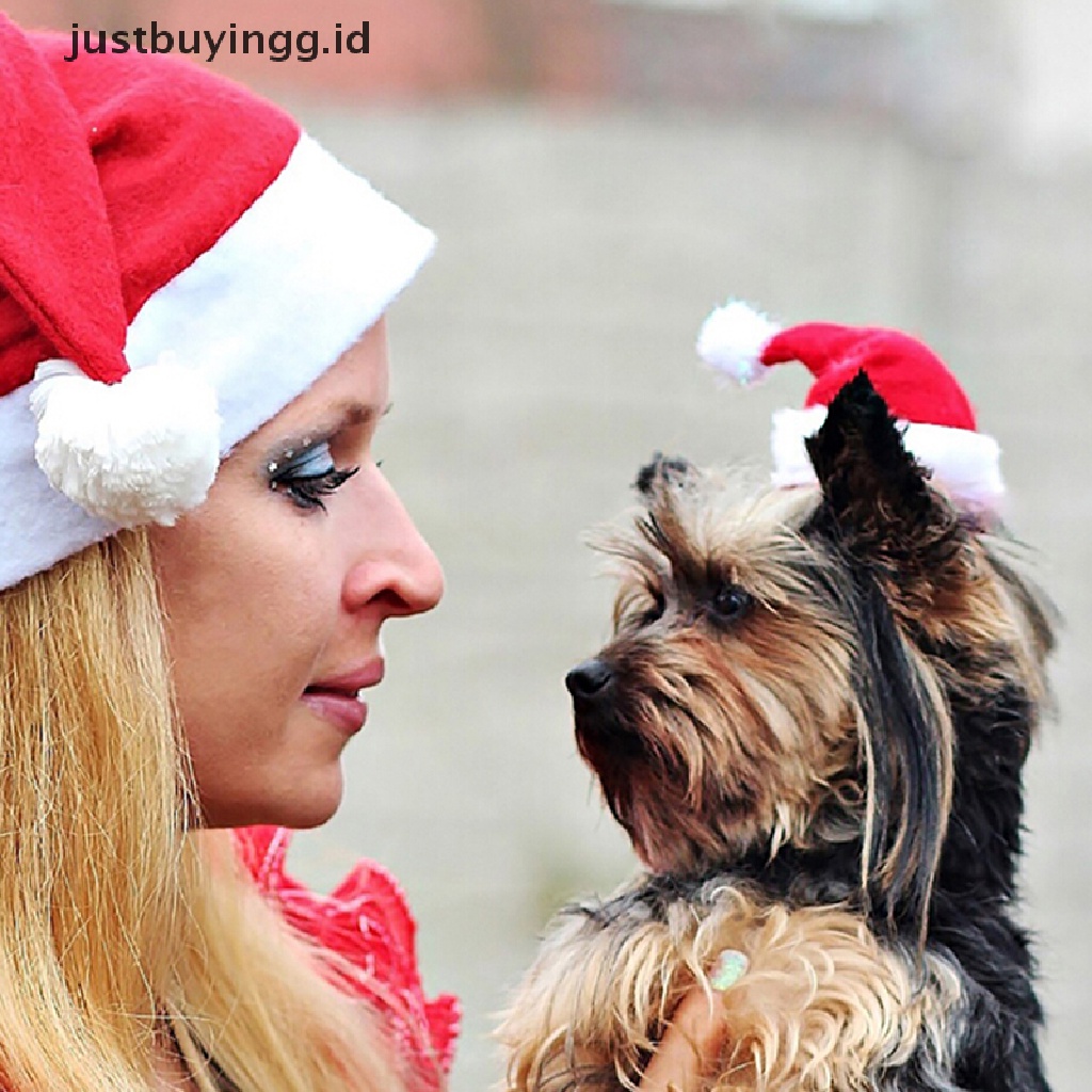 Ornamen Topi Santa Tema Natal Untuk Anjing / Kucing Peliharaan