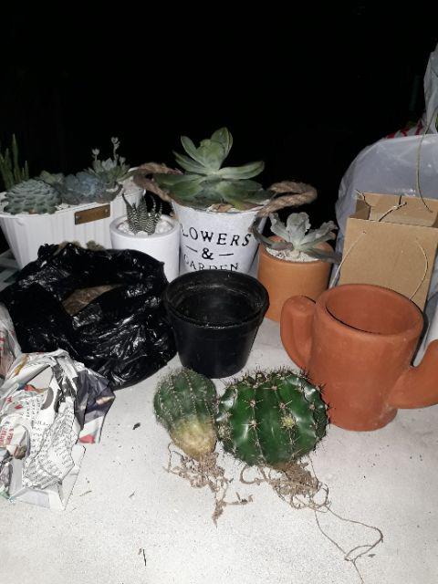 Pot Terracotta Tanah Liat Gerabah D08 Fury