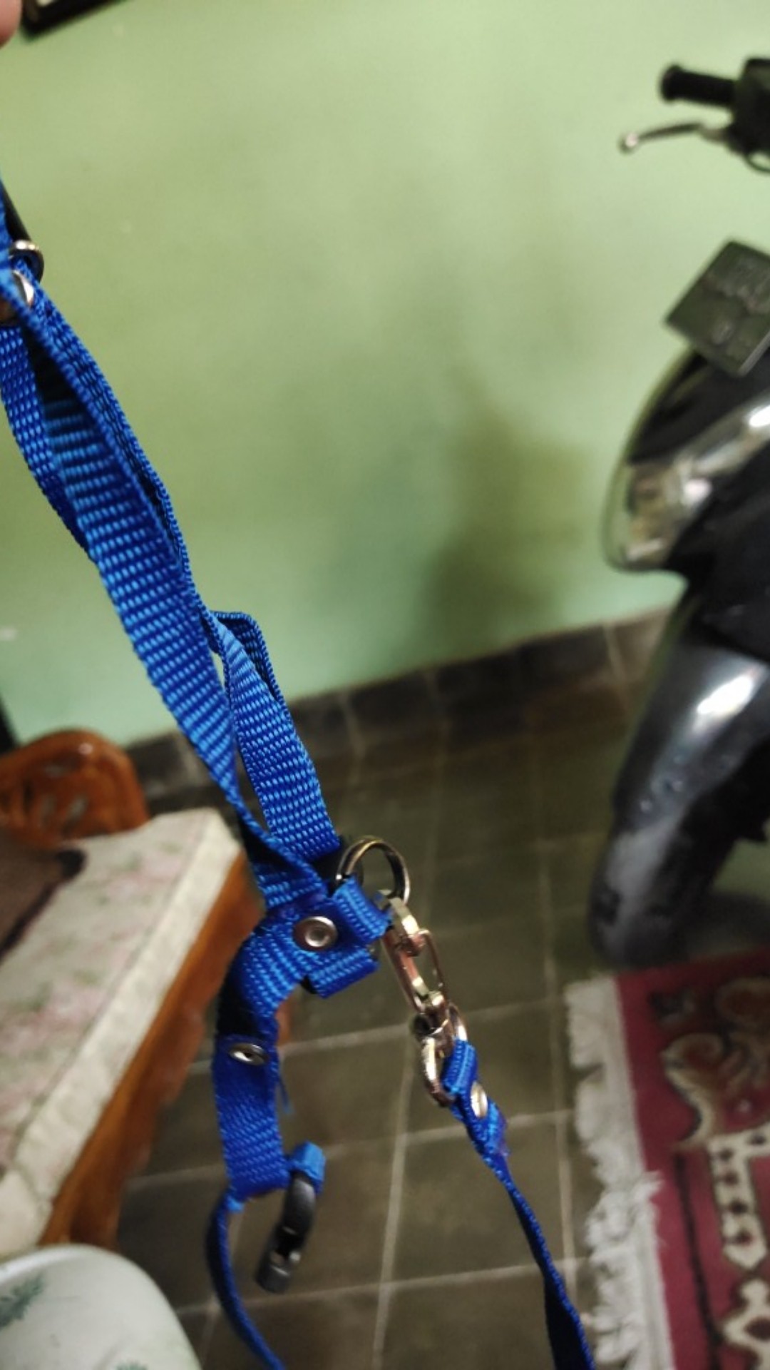 Kuas Masak Roti Loyang Mentega Kue Wajan Teflon Silicone Brush