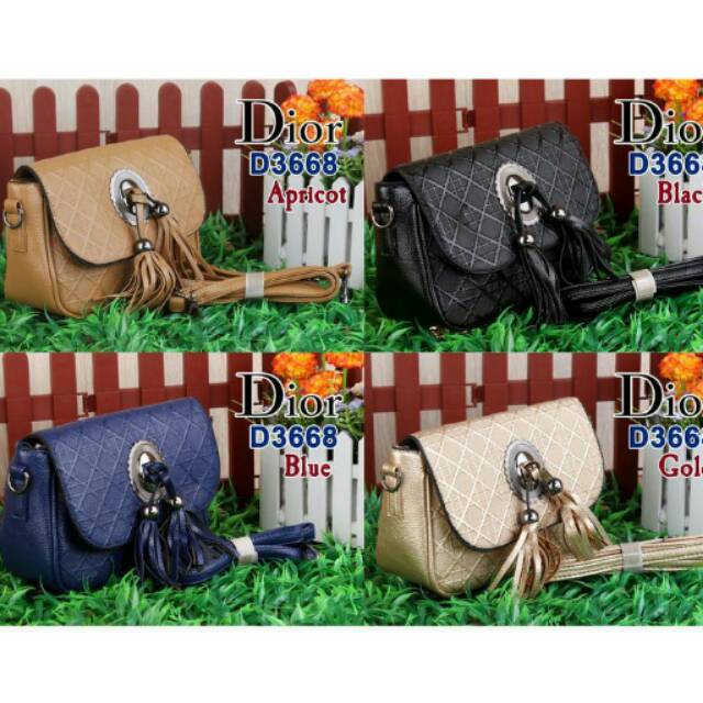 Bag dior D3668