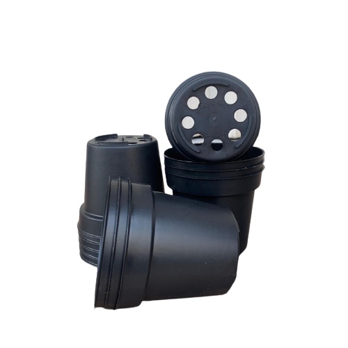 LUSINAN Pot 10 Hitam Putih Merah Bata Tarakota Warna Warni Isi 12 Pcs Harga GROSIR Lusinan 12pcs Pot