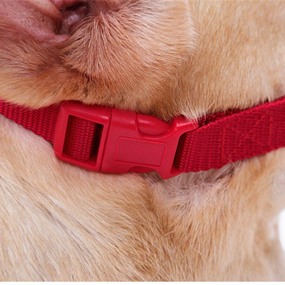 Solighter Anjing Moncong Upgrade Drinkable Adjustable Anti-lick