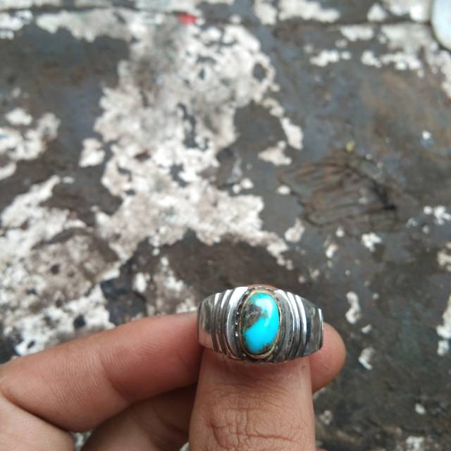 Pirus persia mini