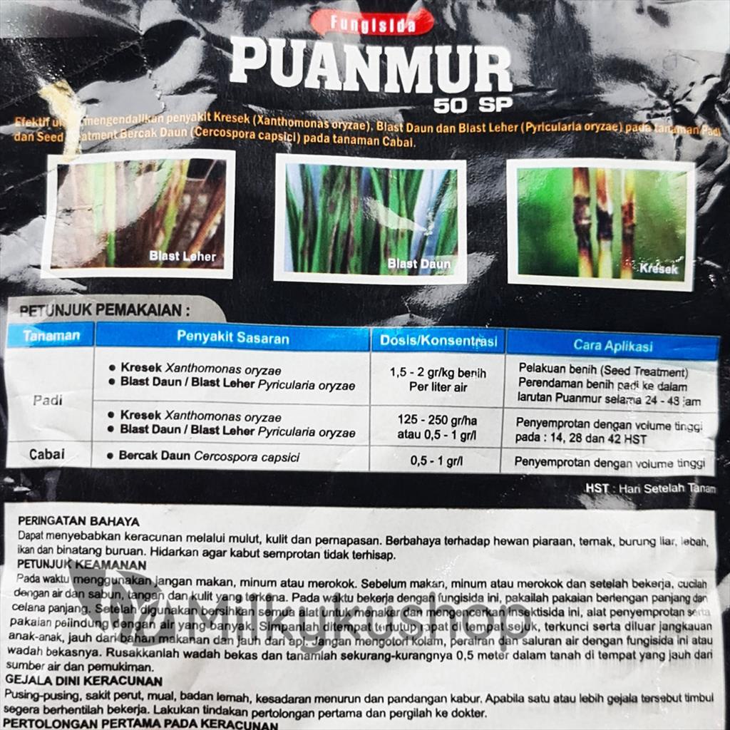 PUANMUR 50 SP 100 GRAM FUNGISIDA