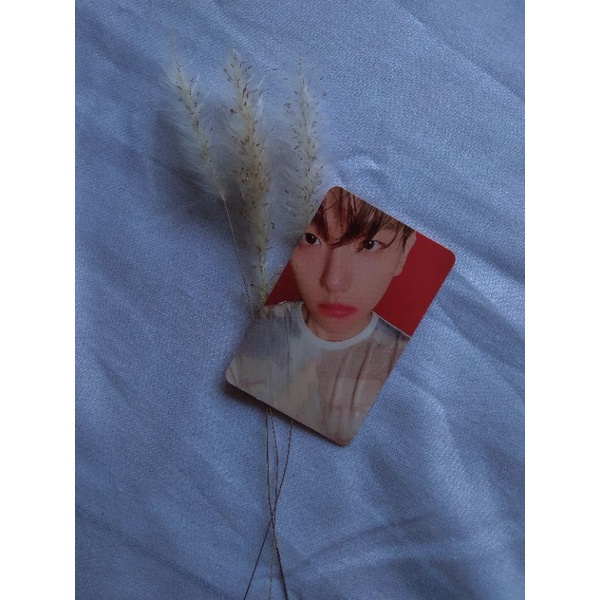 Official PC Baekhyun Delight Mint Ver