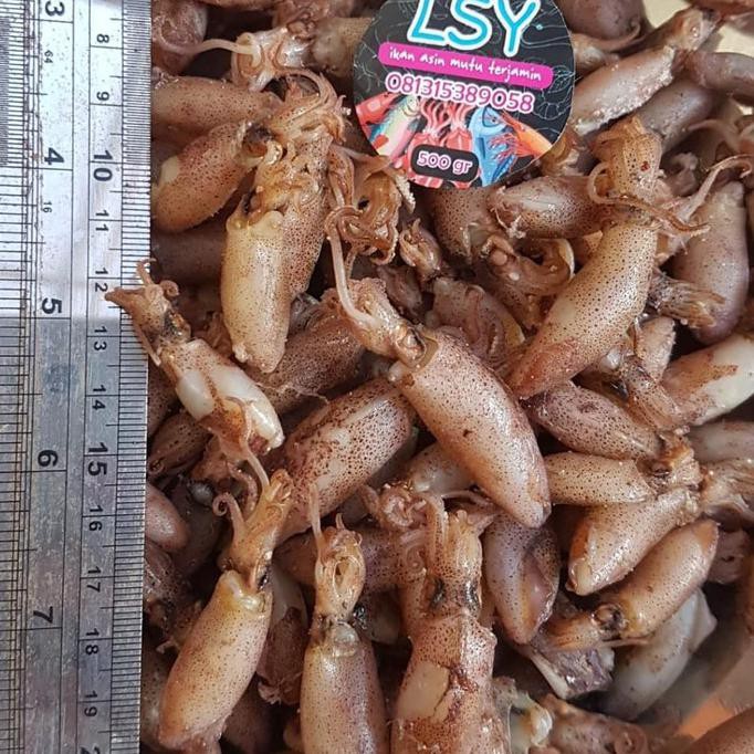 

baby cumi super kualitas no 1 uk 3-4cm 1kg