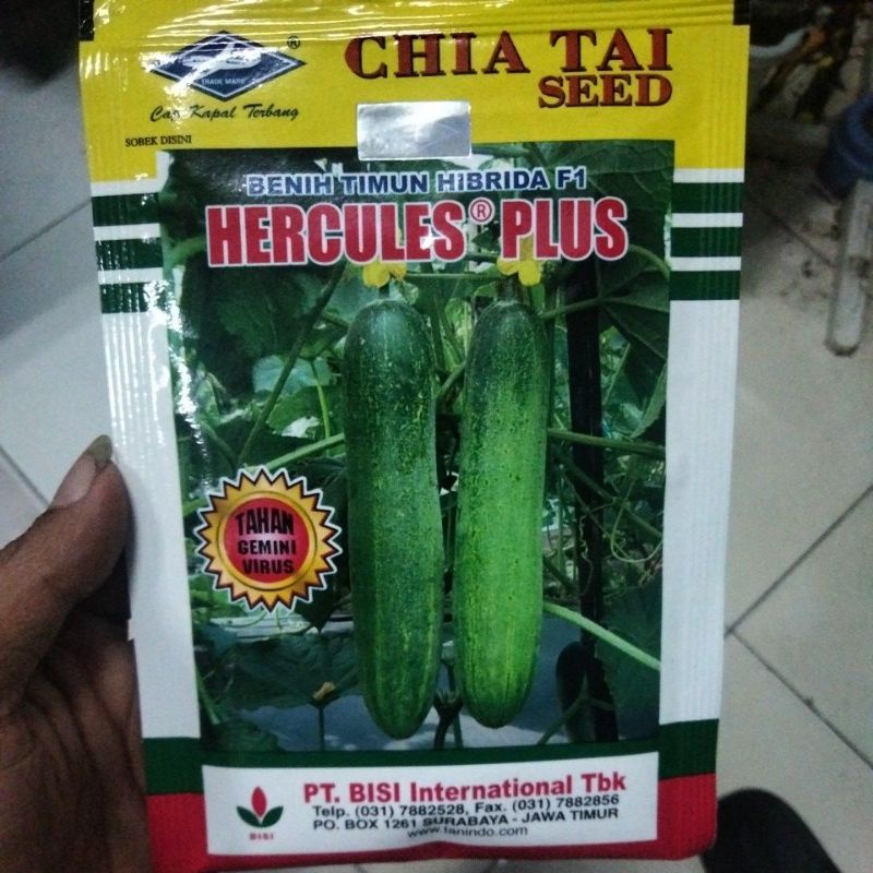 benih timun hercules plus 20 gr