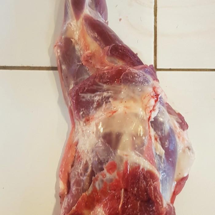 

Meat | Paha Depan Kambing Muda 1