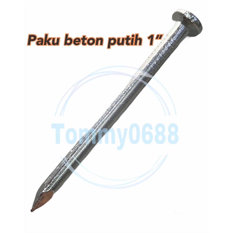 PAKU BETON PUTIH 1” PAKU BETON GALVANIS 2,5 CM PAKU TEMBOK 1 INCI