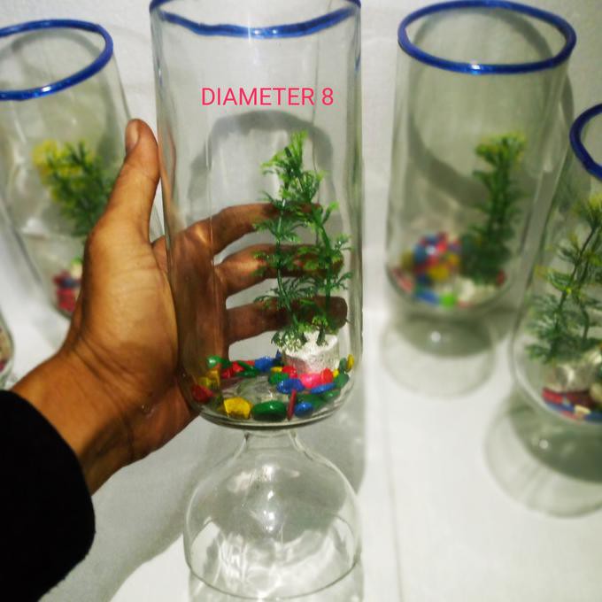 |Terbaru| Botol Tabung Botol Cupang Aquarium Mini Tempat Ikan Cupang Botol Kaca |Promo