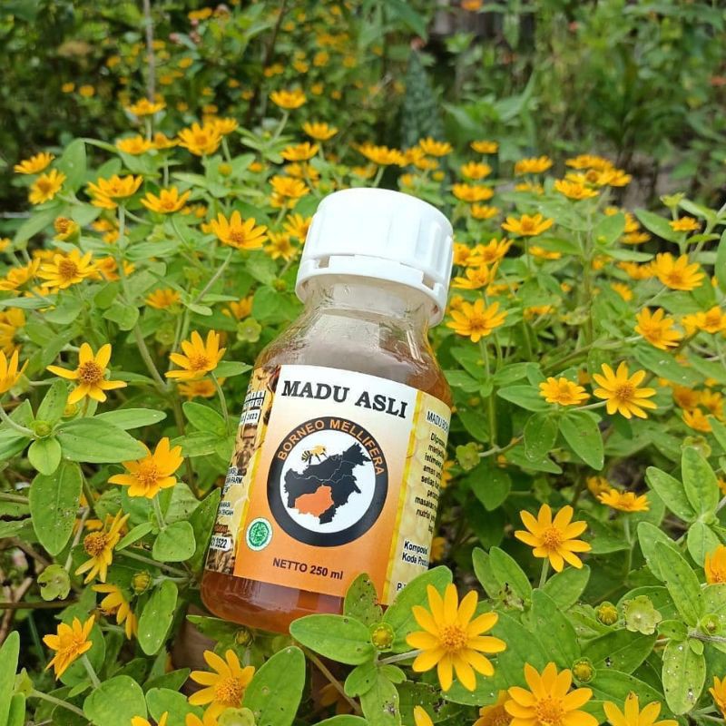 

Madu Asli 100gr