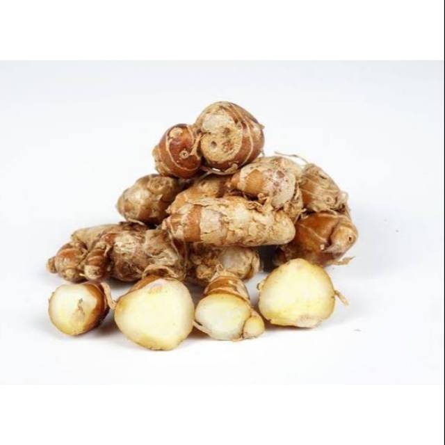 

KENCUR/100Gr