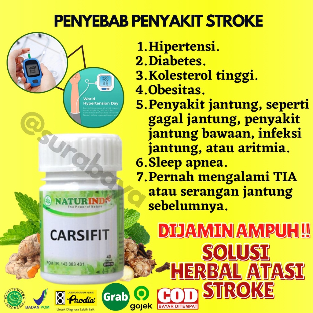 Obat Stroke Ampuh Obat Struk Stroke Ringan Strok Menahun Lumpuh Separo Sebelah obat herbal Paska stroke gejala sulit bicara kaku tangan kaki serta saraf otak Herbal Sambiloto Ampuh Jamu Herbal Strok Lumpuh Tradisional Carsifit Naturindo Surabaya 40 Kapsul-4