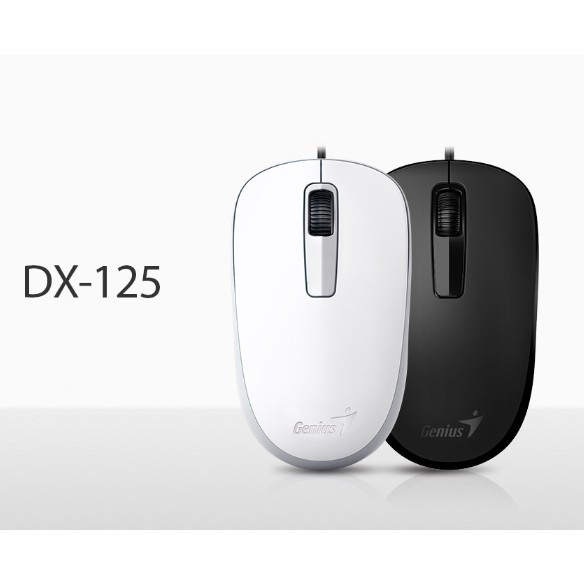 Mouse Genius DX 125 USB