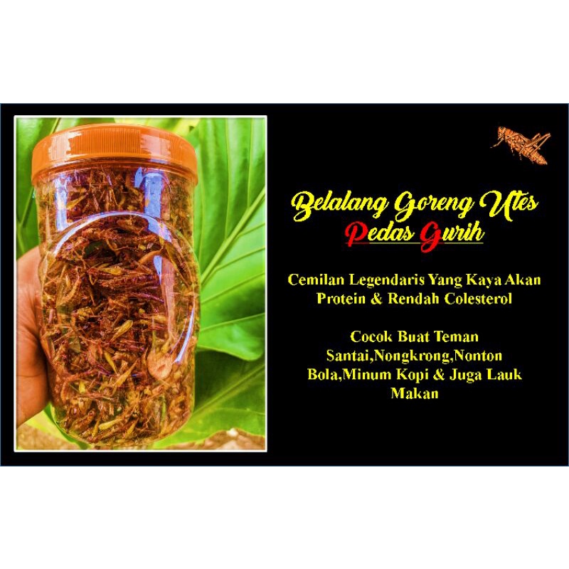 

Belalang Goreng Utes PEDAS GURIH (200gram)