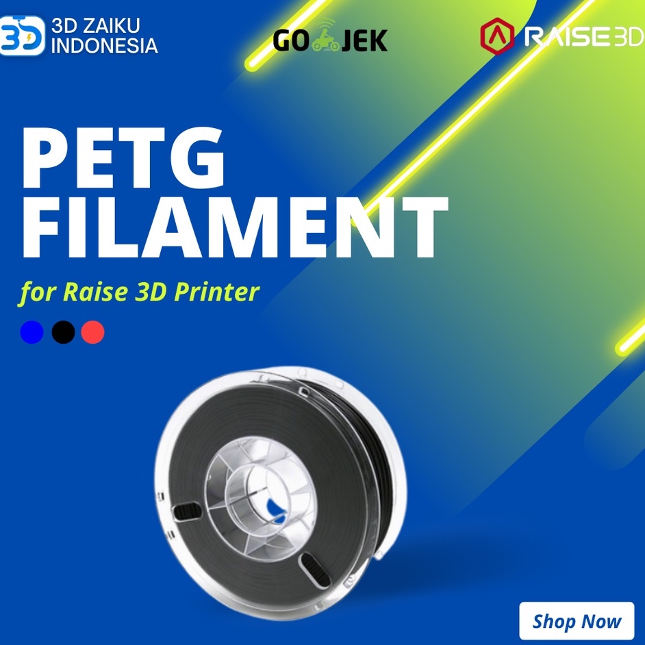 Original Raise 3D Premium PETG 3D Filament for Raise 3D Printer