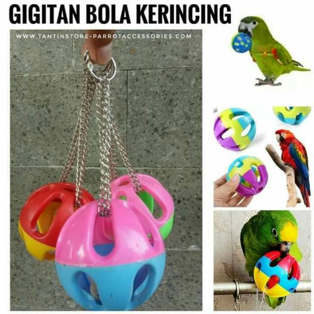 Jual Satu Paket Mainan Burung Small Parrot Nuri Sunconure Betet