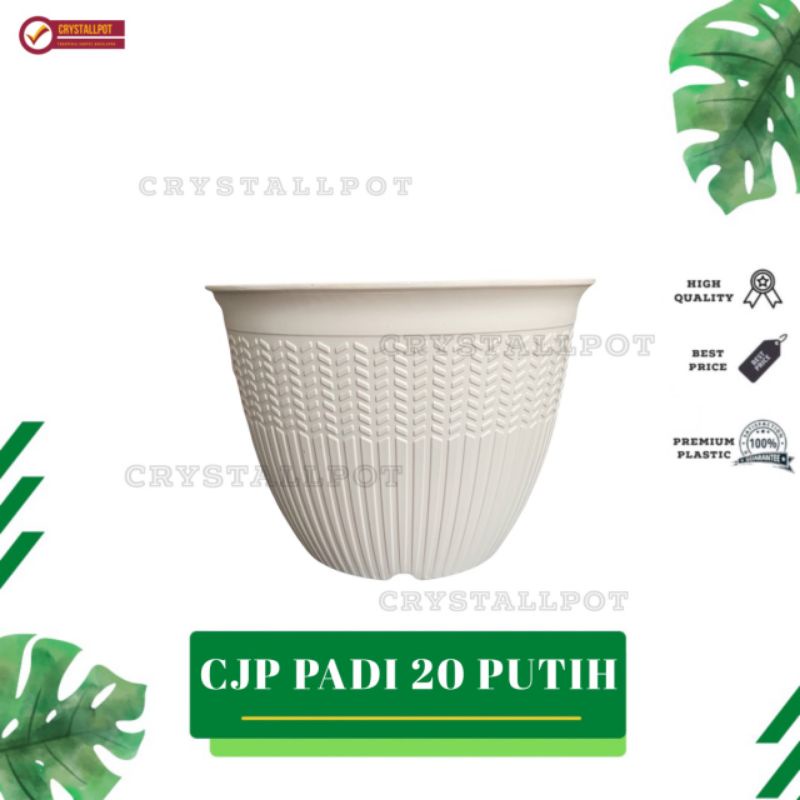 pot bunga tanaman cjp padi 20cm putih - CJP PADI 20 PUTIH 9920