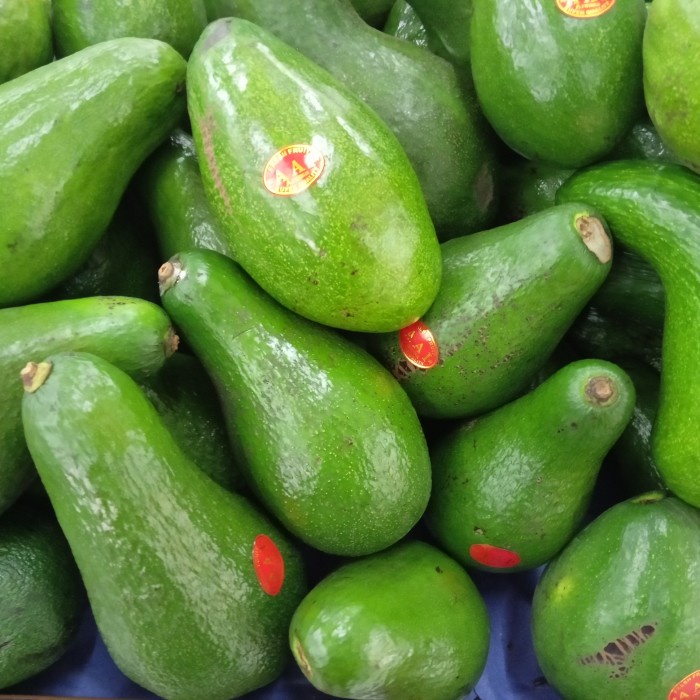 

Alpukat Mentega Super 1kg